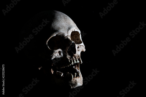 Human skeleton skull head isolated on black