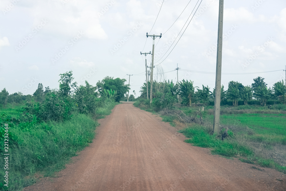 Countryside road with tree and electric pole Countryside road with tree and electric pole