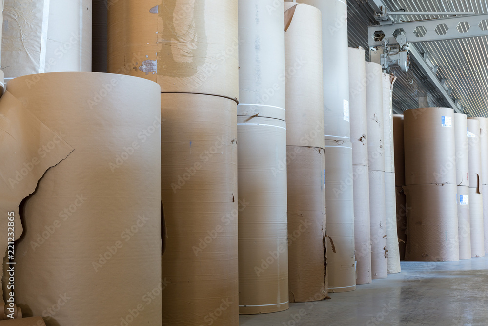 Obraz premium at the papermaking factory