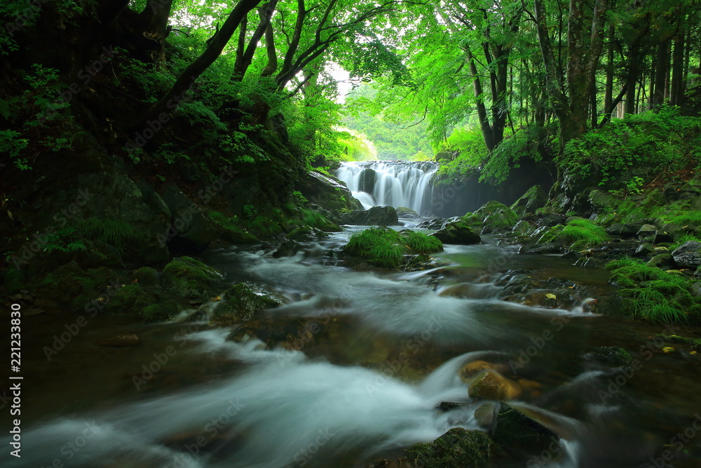 夏の気仙大滝