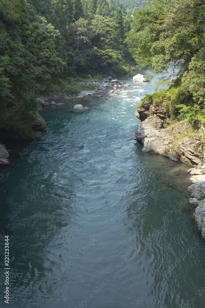 Obraz premium 根尾川−01