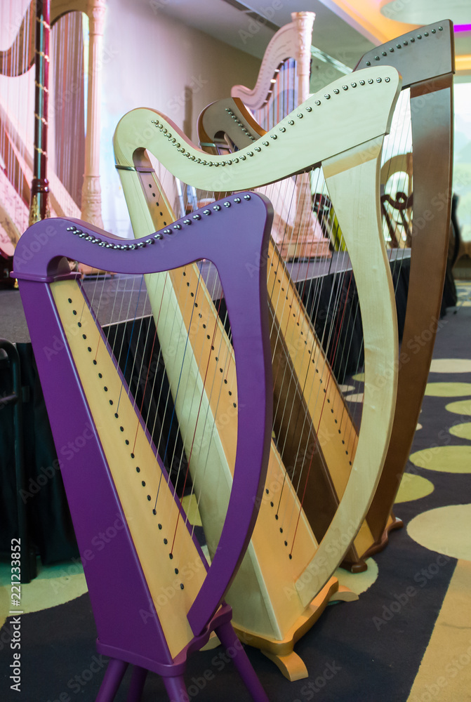 Obraz premium Various harp music instruments