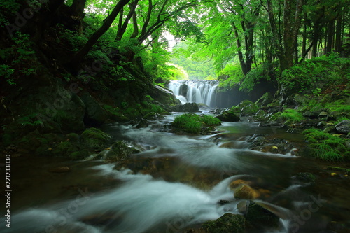 夏の気仙大滝