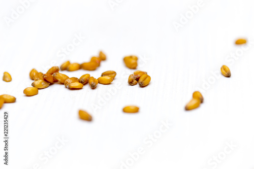 wheat grain scattered on a white background