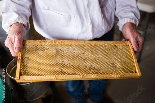 Beekeeper holds organic, local honeycomb