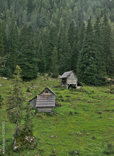 Traditional wooden shepherd huts on high alpine meadow in slovenian part of Julian Alps