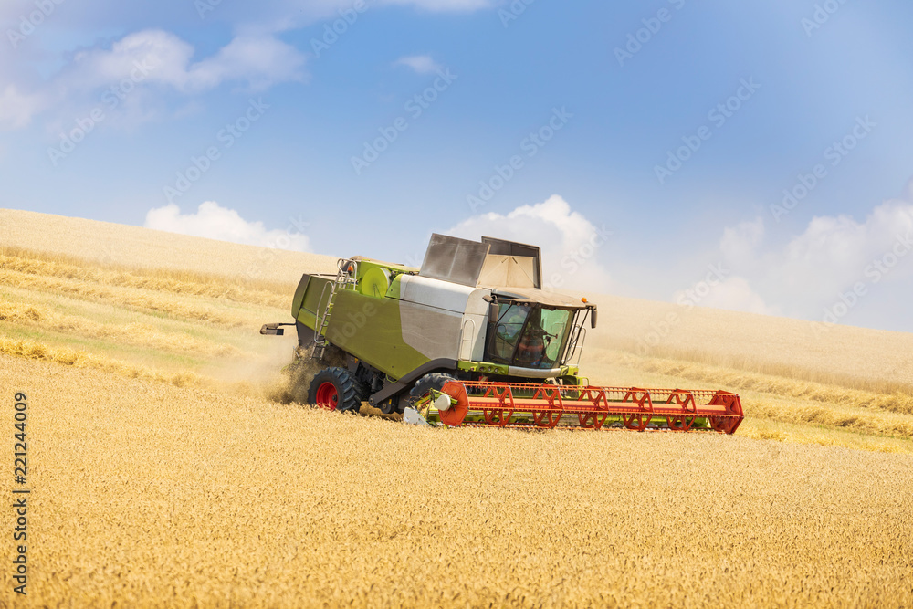 Obraz premium modern harvester during harvest of wheat on sunny day