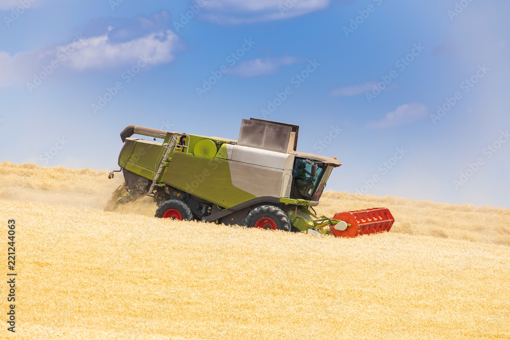 Obraz premium modern harvester during harvest of wheat on sunny day
