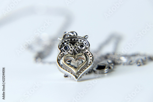 A beautiful silver jewel in owl form on white background