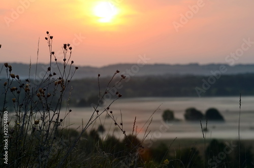 dry grass against the background of sunrise