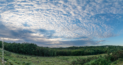 Photography Beautiful mackerel sky cirrocumulus altocumulus cloud formations in Summer sky l