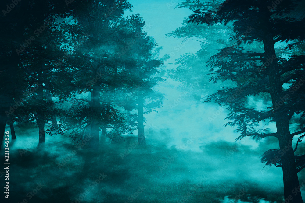 Misty pine forest