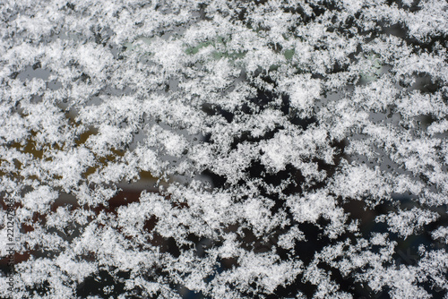 snow on the glass