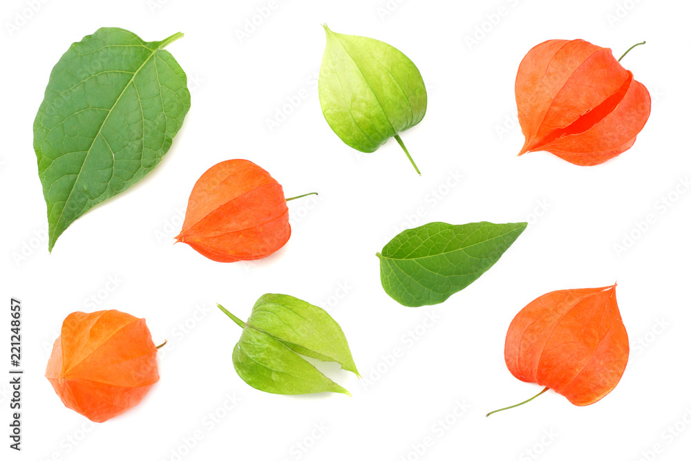 red and green physalis fruit isolated on white background. top view red and green physalis fruit isolated on white background. top view