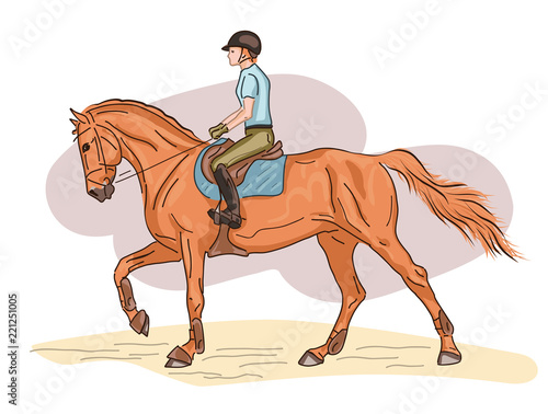 A vector illustration of a rider cantering on a horse. © irinamaksimova