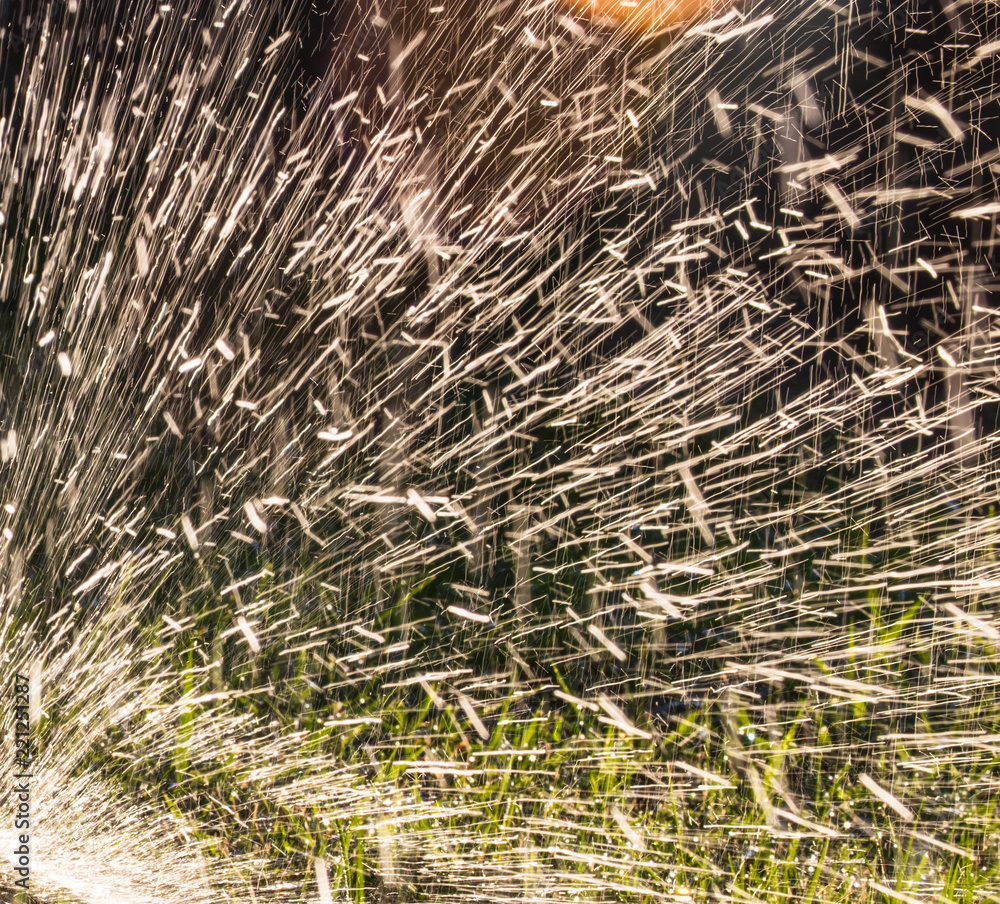 Splashing water to water the lawn as a background Splashing water to water the lawn as a background