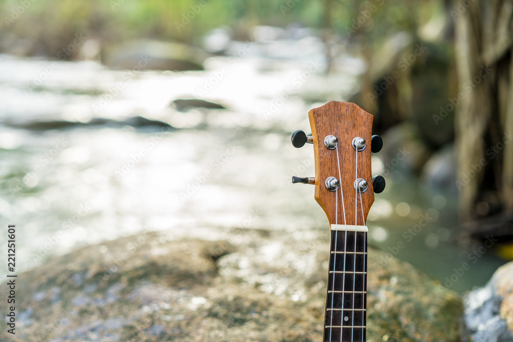 Ukulele on the rock near waterfall in the forest Stock Photo | Adobe Stock