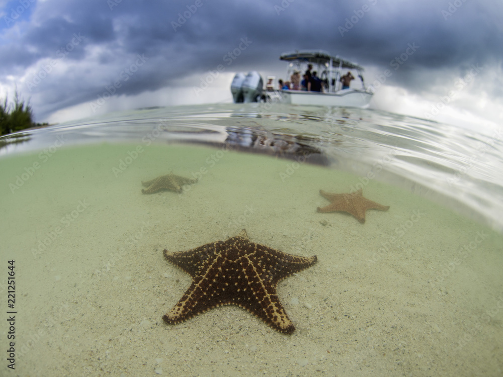 Star fish point, Cayman Islands