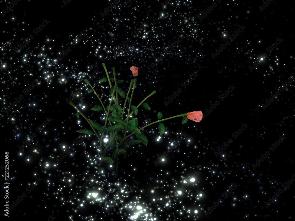 Mysterious roses in the night sky Mysterious roses in the night sky