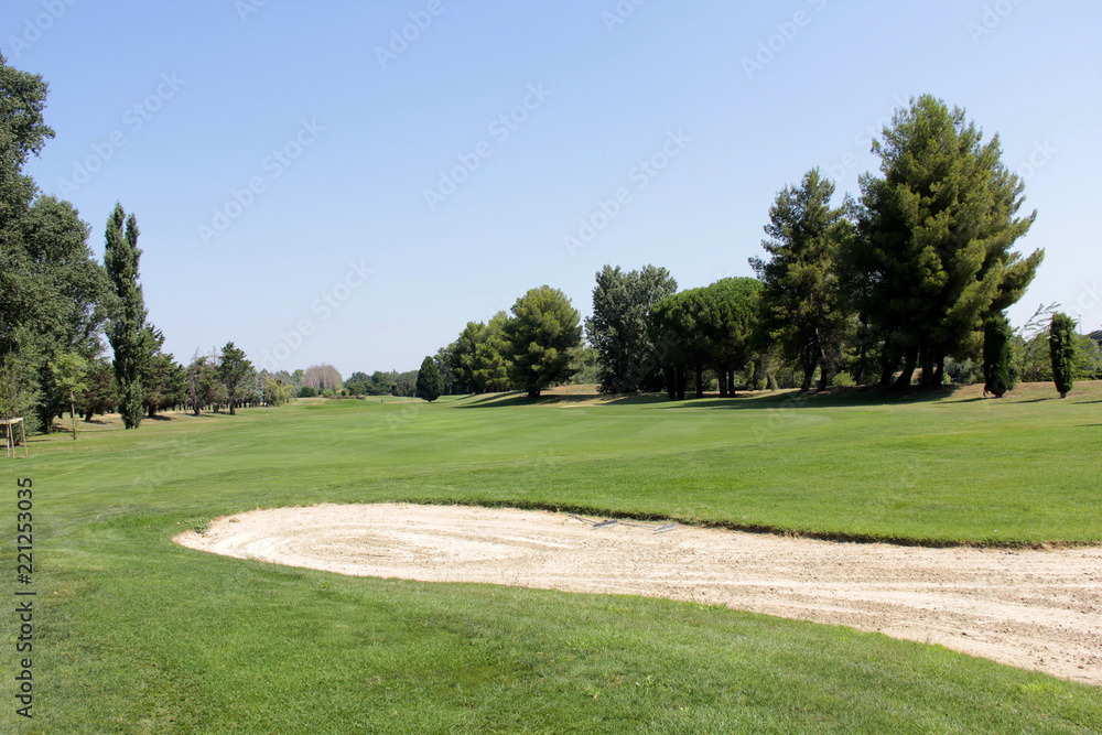 Fototapeta premium pole golfowe