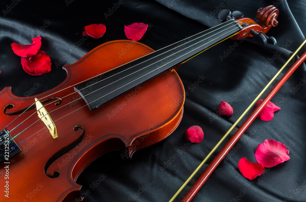 Fototapeta premium Violin and Rose on black background