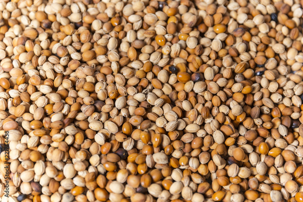 Heat Bag Seeds Textured Surface Heat Bag Seeds Textured Surface
