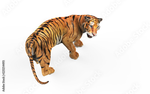 Fototapeta Naklejka Na Ścianę i Meble -  Dangerous Bengal Tiger Roaring and Jumping Isolated on White Background, with Clipping Path, 3d Illustration.
