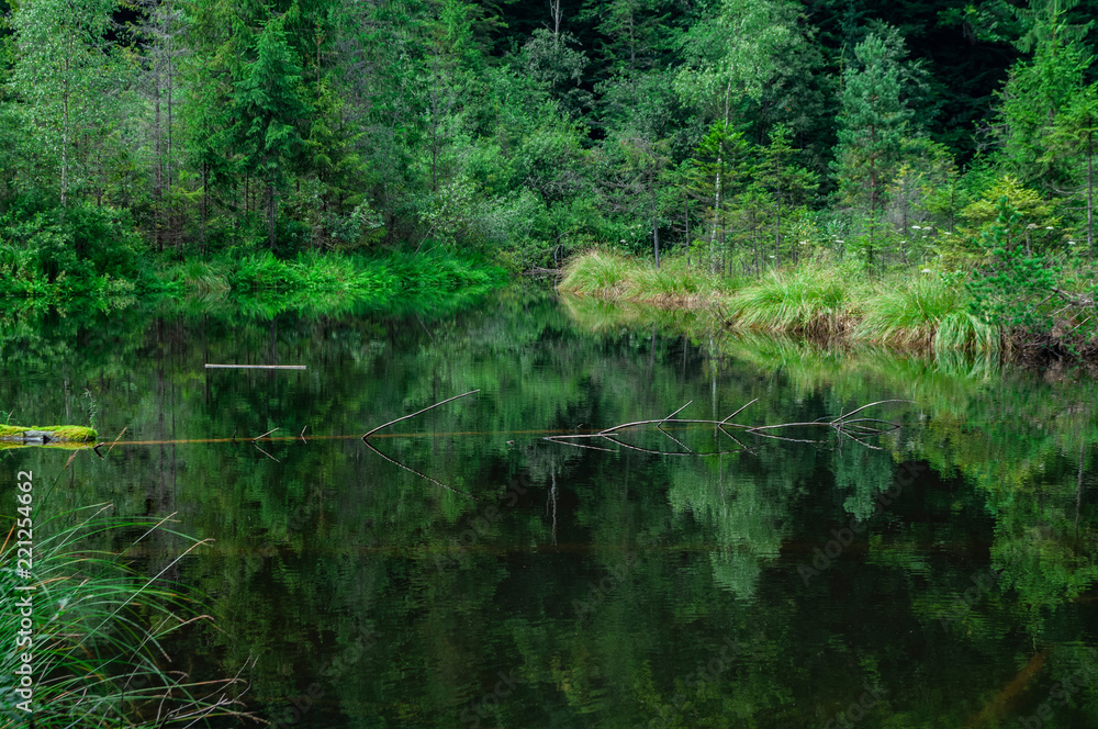 High mountain lake in the forest High mountain lake in the forest