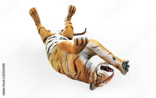 Fototapeta Naklejka Na Ścianę i Meble -  Dangerous Bengal Tiger Roaring and Jumping Isolated on White Background, with Clipping Path, 3d Illustration.