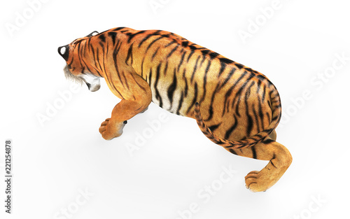 Fototapeta Naklejka Na Ścianę i Meble -  Dangerous Bengal Tiger Roaring and Jumping Isolated on White Background, with Clipping Path, 3d Illustration.