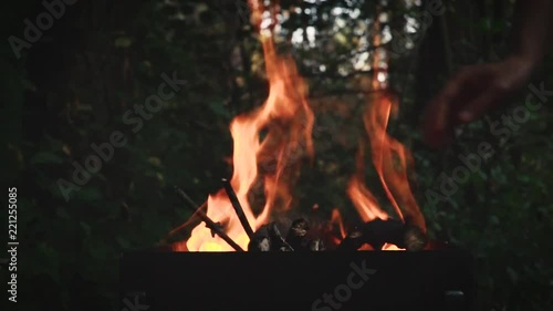 The Wood Branches Burning In The Braizer. Fire For Cooking.