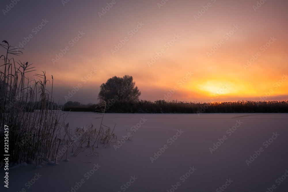 Obraz premium Beautiful winter landscape. Foggy morning sunrise. Colorful evening, bright sunshine over a river or lake.