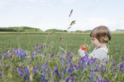 Curious girl picking wildflowers in rural field photo