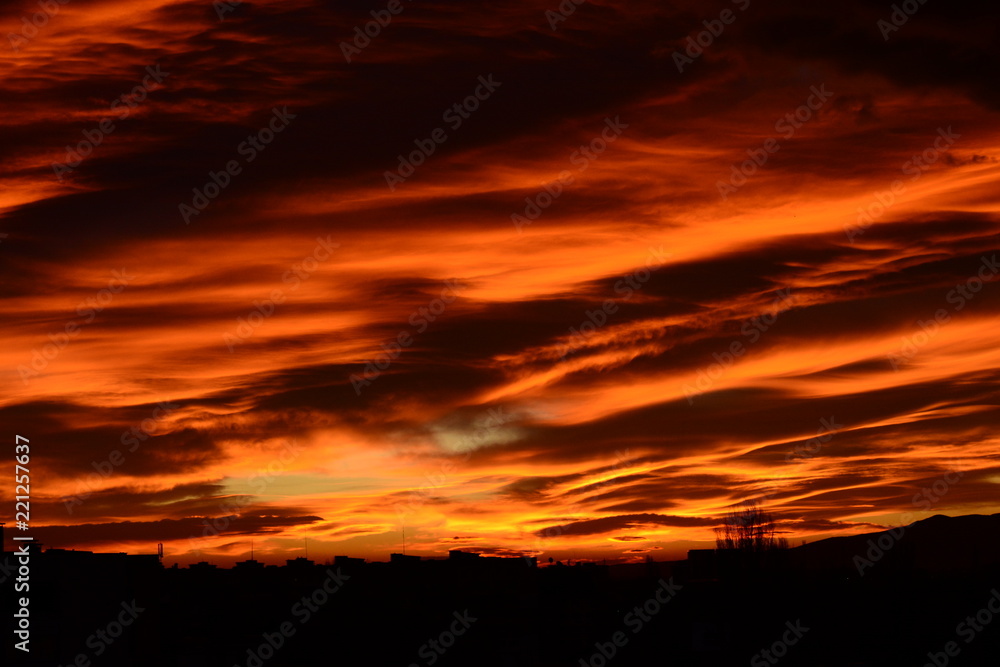 Fototapeta premium Rising sun