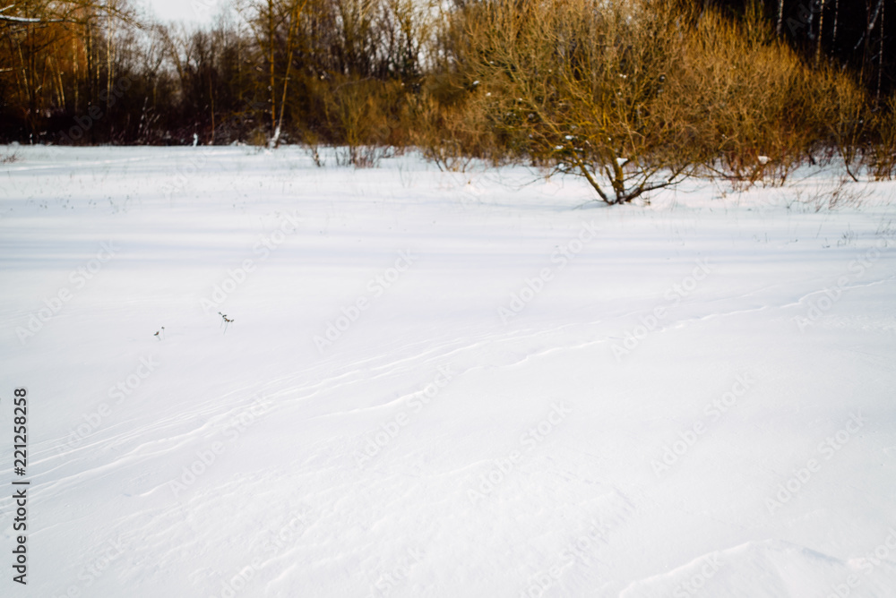 Beautiful winter landscape in the forest Beautiful winter landscape in the forest