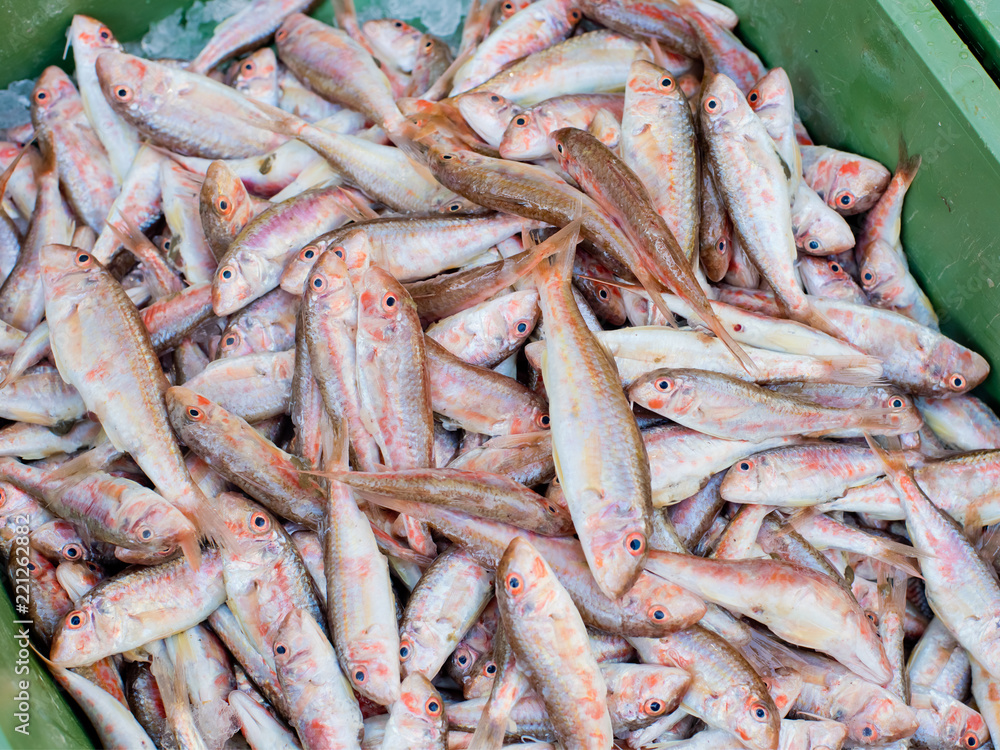 A small fresh fish in a box on the market. Background of fish. A small fresh fish in a box on the market. Background of fish.