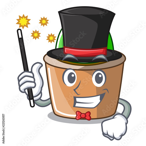 Magician mascot star cactus decorate in the garden