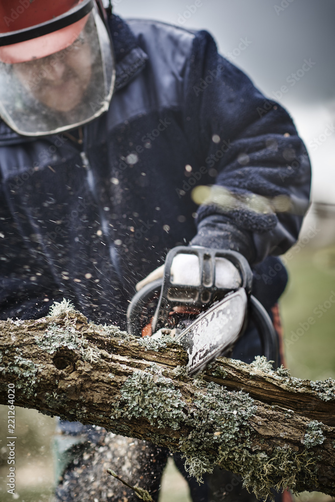 Obraz premium Working lumberjack with his chain saw