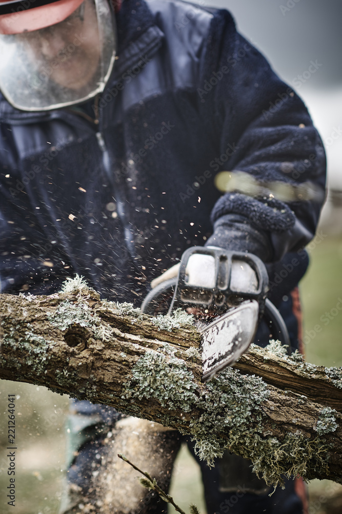 Obraz premium Working lumberjack with his chain saw