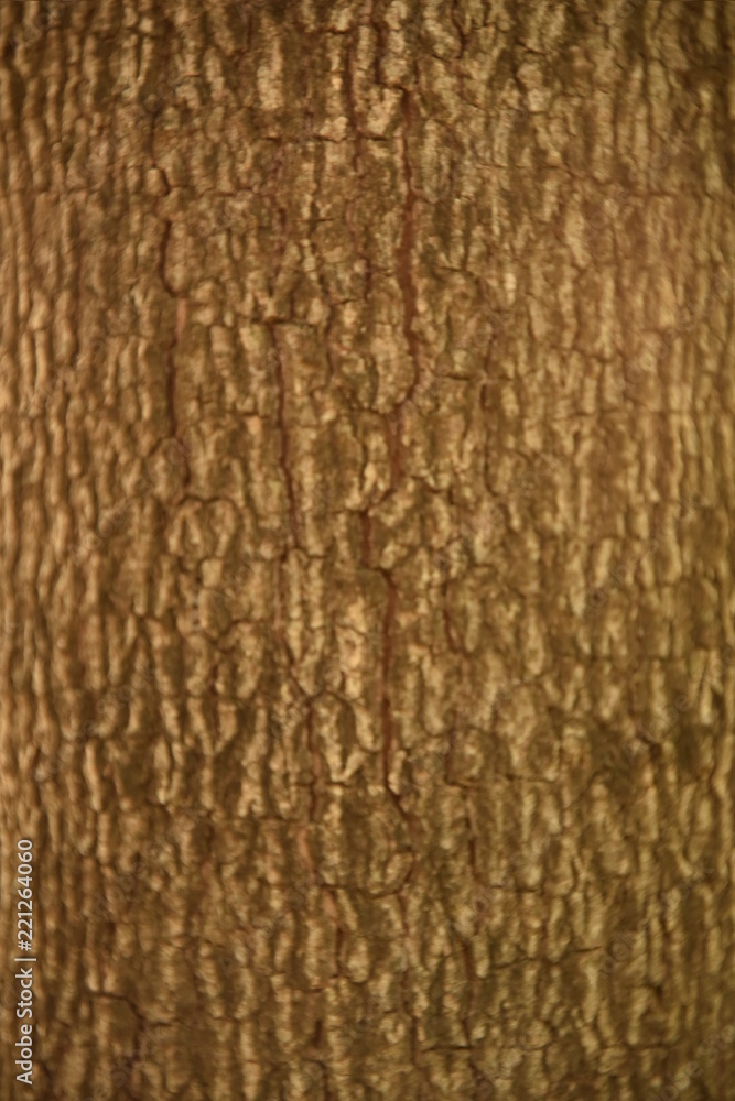 Fototapeta premium Texture, pattern and background