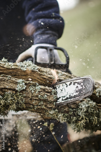 Working lumberjack with his chain saw photo