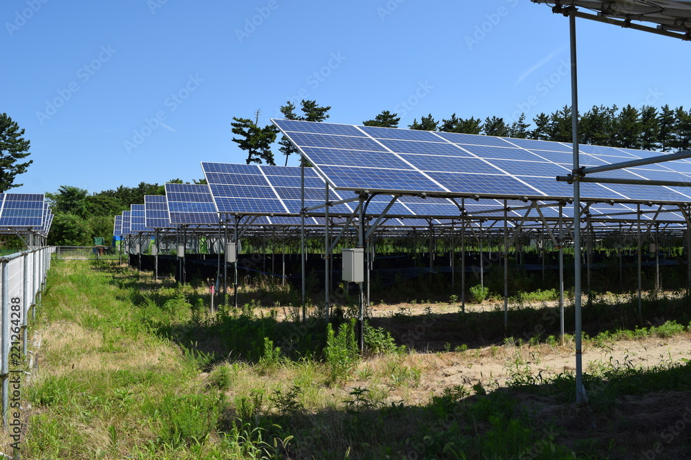 ソーラーパネル