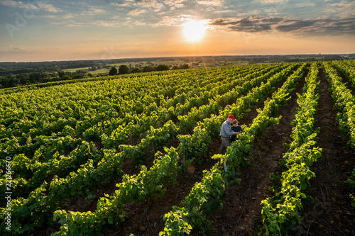 Bild auf Leinwand Top view. A winegrower and young son in their vines at sunset