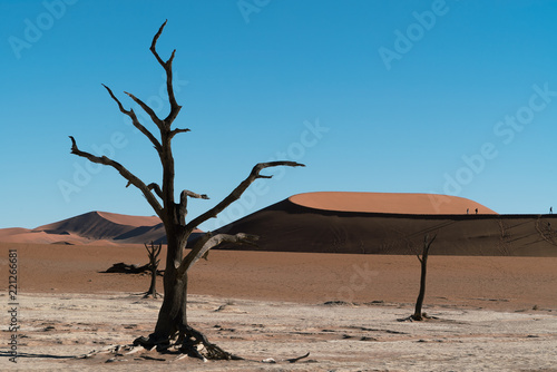 Namibia Desert