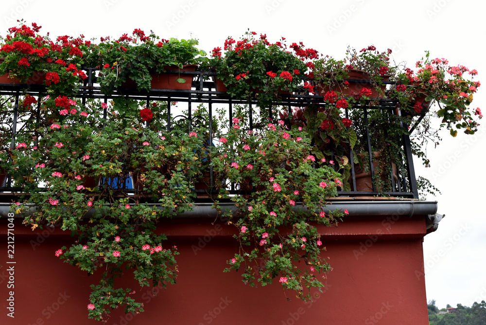 balcony overflowing with flowers