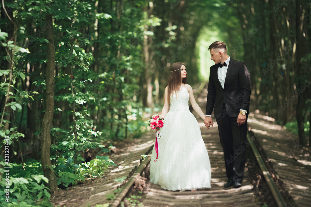 Romantic newlywed couple kissing in pine tree forest Romantic newlywed couple kissing in pine tree forest
