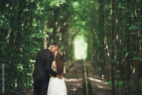 Beautiful, perfect couple posing on their wedding day