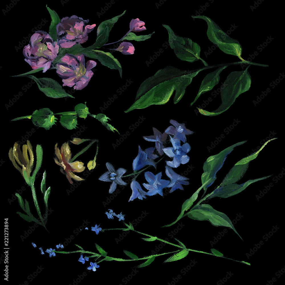 Set of wild flowers and leaf on black background