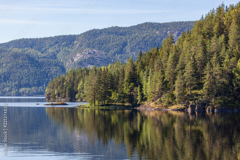 The pine wood on the stony coast of the mountain lake is reflected in quiet water, Telemark county, Southern Norway