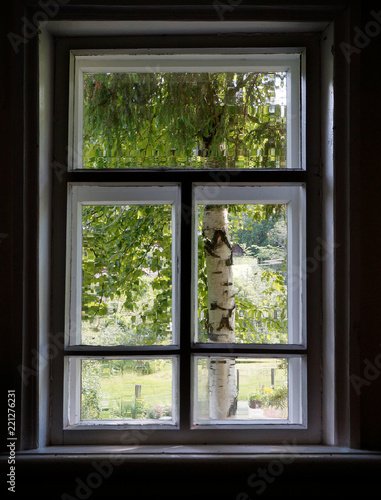 Old white wooden window with outside view of tree and field